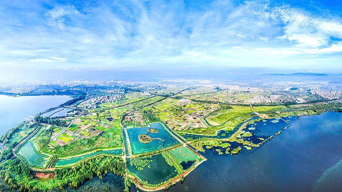 星云湖南岸濕地、湖濱帶提質(zhì)改造工程