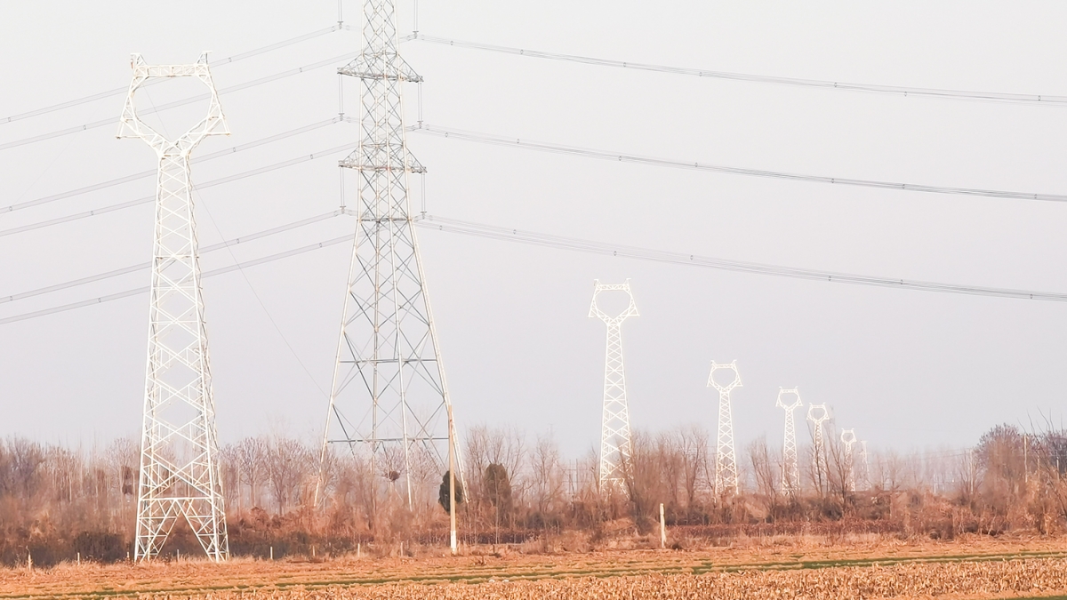 威縣澤恩蔬菜種植有限公司雨養(yǎng)型節(jié)水高效蔬菜大棚88MW農(nóng)光互補(bǔ)發(fā)電項(xiàng)目外送線路及對(duì)側(cè)間隔EPC