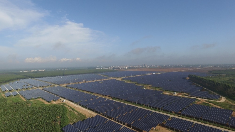  遂溪縣遂西光伏農(nóng)業(yè)綜合利用項目（一期40MW）光伏電站項目