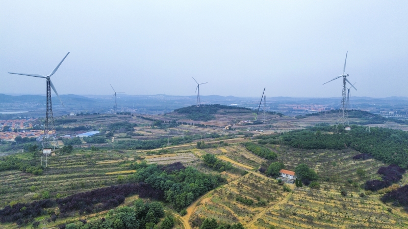 以大代小，青島大橋風(fēng)場改造的“煥新密碼”
