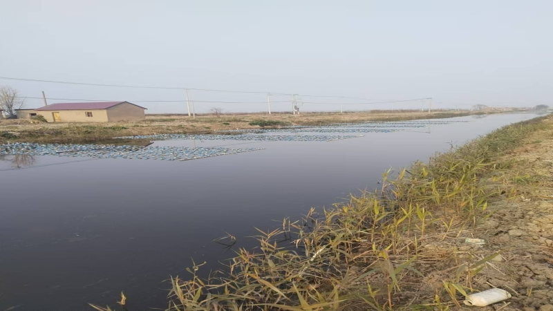 水產(chǎn)養(yǎng)殖尾水治理，助力漁業(yè)綠色生態(tài)高質(zhì)量發(fā)展