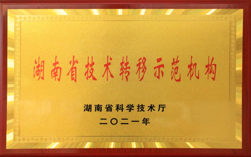 湖南省技術(shù)轉(zhuǎn)移示范機(jī)構(gòu)